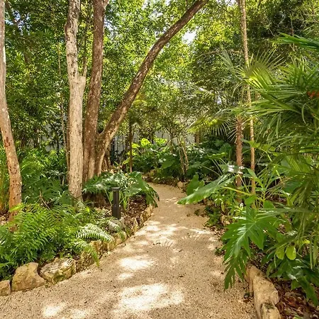 Tuane Tulum Luxury Homes-3